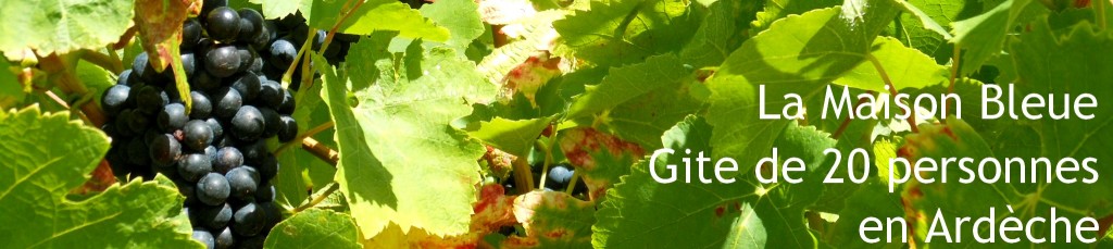 Balade vigneronne à la maison bleue, gîte de groupe en Ardèche, vins d'Ardèche entre lavande et garrigue.