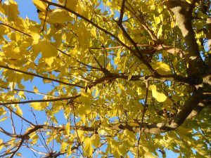 Automne en Ardèche pour un weekend entre amis