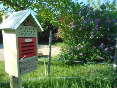 Hôtel à insectes dans le verger de la maison bleue.