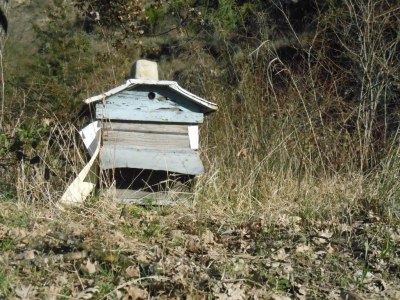 Ruche proche du gite de la maison bleue en Ardèche