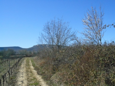 La Dent de Retz en Ardèche sur le plateau des Gras proche de la maison bleue