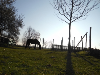 Lever du jour en Ardèche