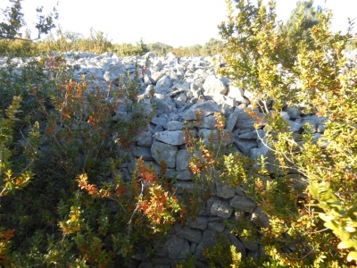 Jusqu'au sommet de la colline, murettes ardéchoises