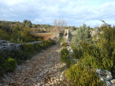 Chemin bordé de pierres sèches à Larnas