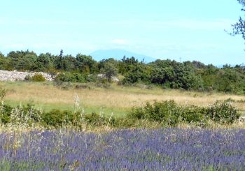 En Ardèche, un havre de paix