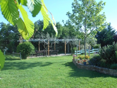 Quelques fleurs face à la pergola du gîte de groupe de 5 chambres en Ardèche