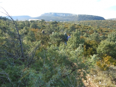 Quelle est belle cette Dent de Retz, natura 2000