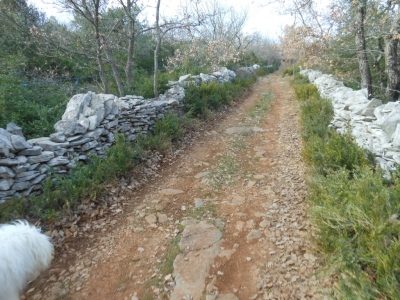 Chemin des pierres sèches sur la commune de Larnas.