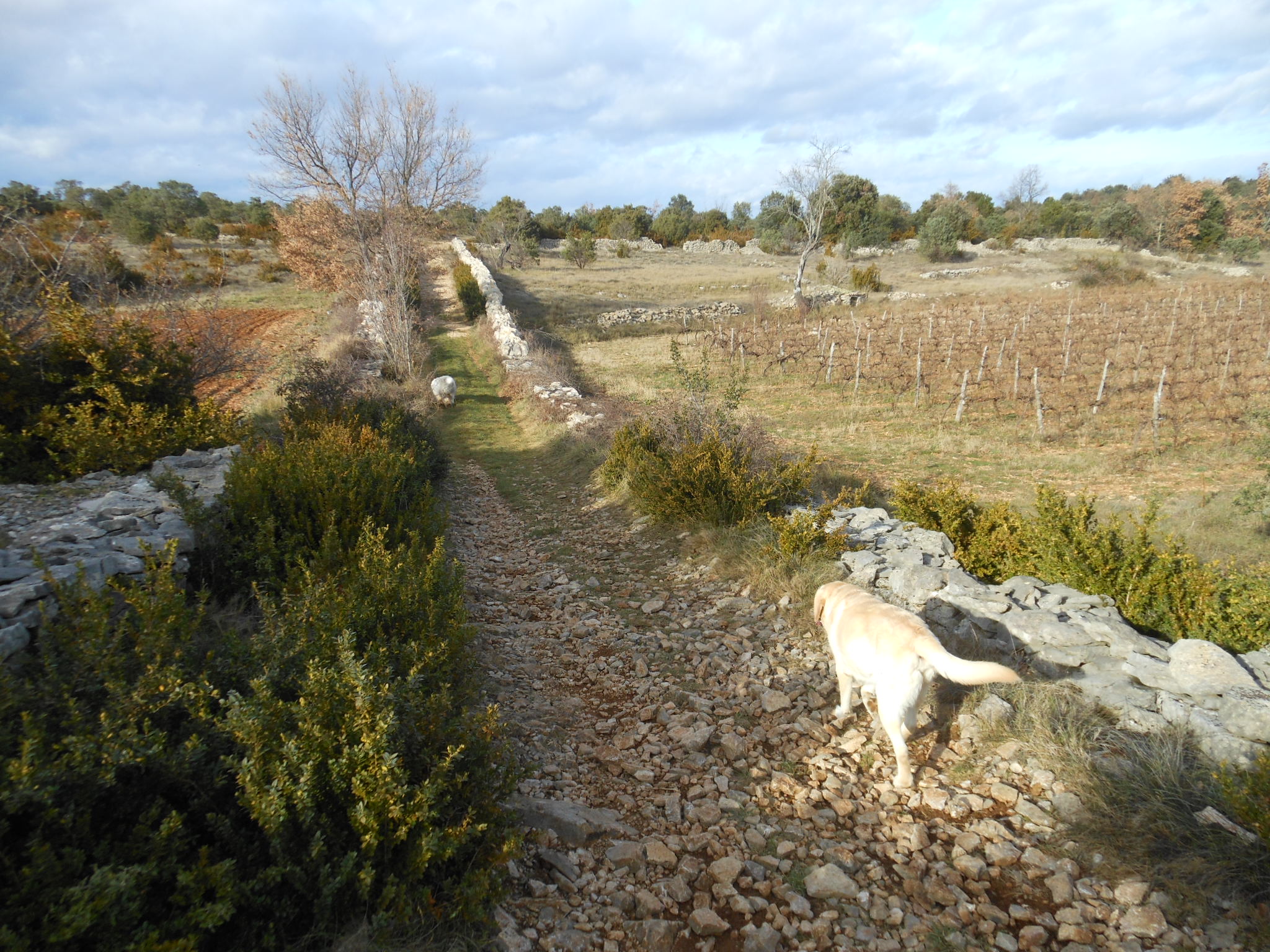 Chemin des pierres sèches sur la commune de Larnas.