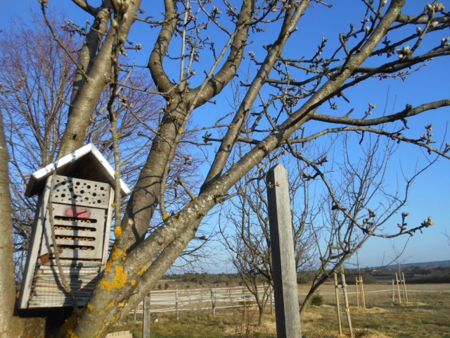 Ciel ardéchois et contemplation une fin de journée hivernale à la Maison Bleue