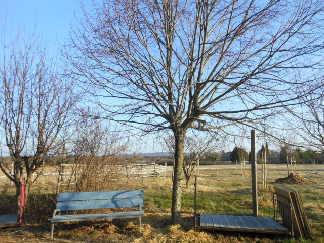 Ciel ardéchois et contemplation une fin de journée hivernale à la Maison Bleue