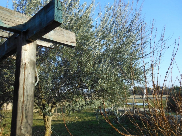 Ciel ardéchois et contemplation une fin de journée hivernale à la Maison Bleue