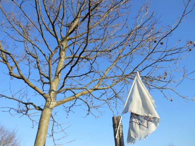 Ciel ardéchois et contemplation une fin de journée hivernale à la Maison Bleue